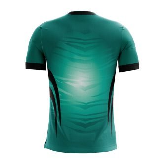 Polyester Cricket Tshirts for Men | Sports Team Jersey